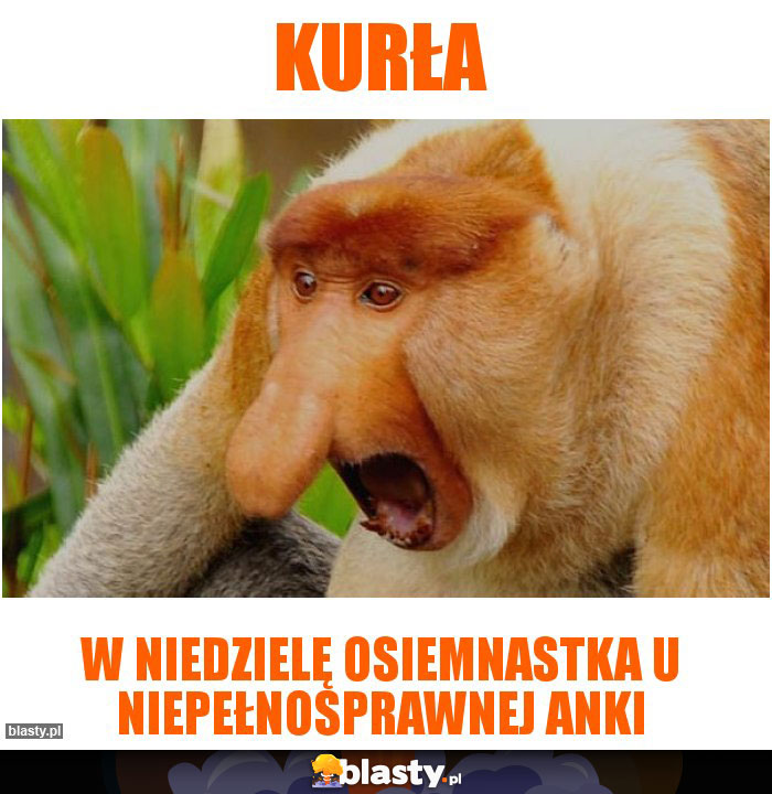 Kurła