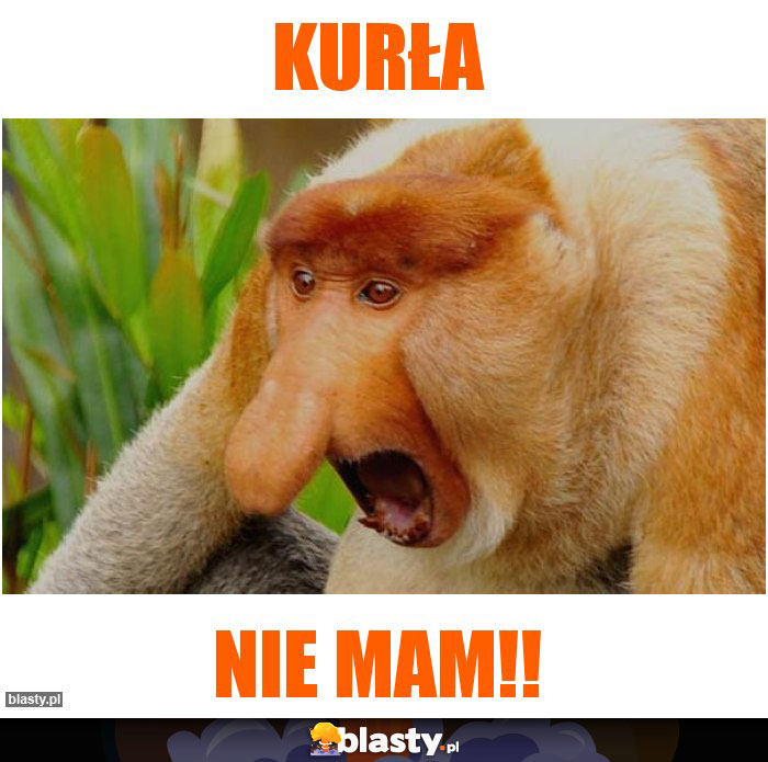 Kurła