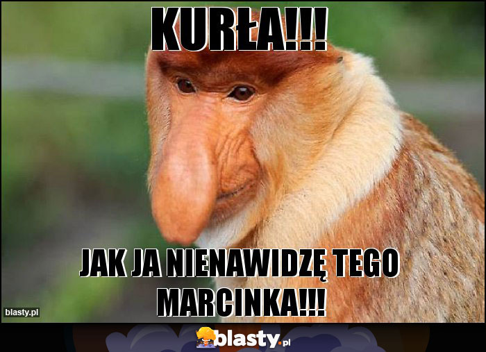 Kurła!!!