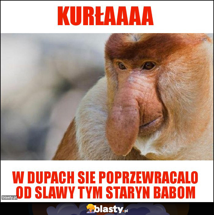 Kurłaaaa