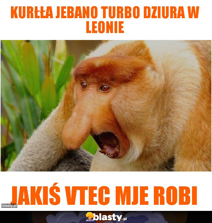 KURŁŁA JEBANO TURBO DZIURA W LEONIE