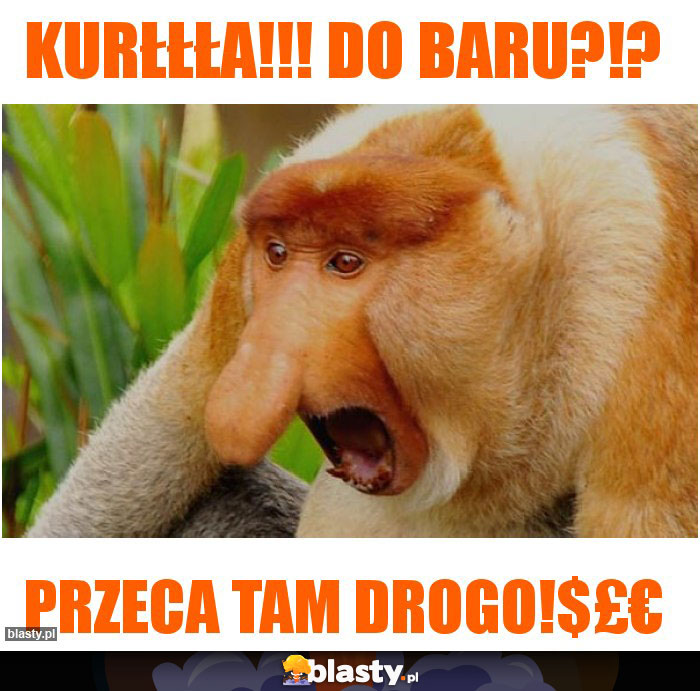 Kurłłła!!! Do baru?!?