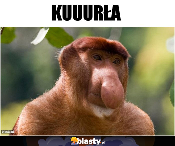 KUUURŁA