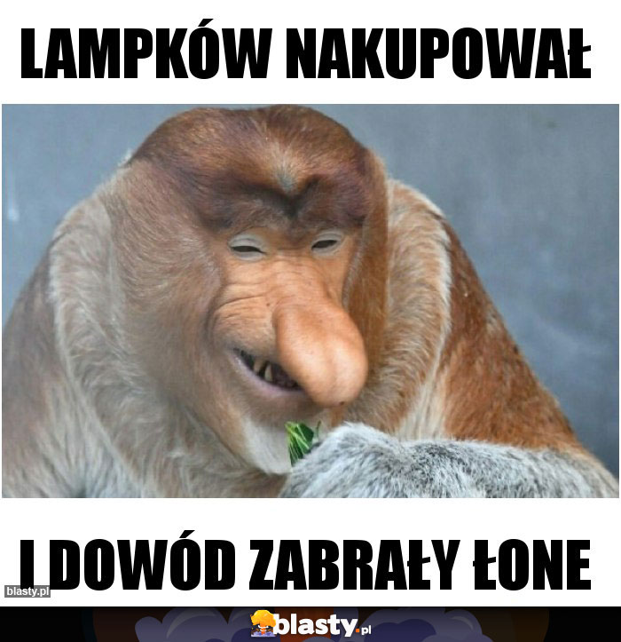 Lampków nakupował