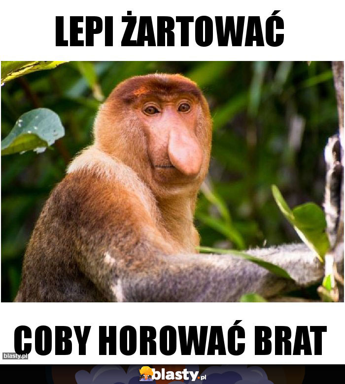 Lepi żartować