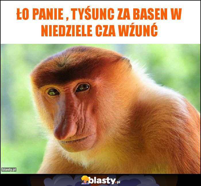 Ło panie , tyśunc za basen w niedziele cza wźunć