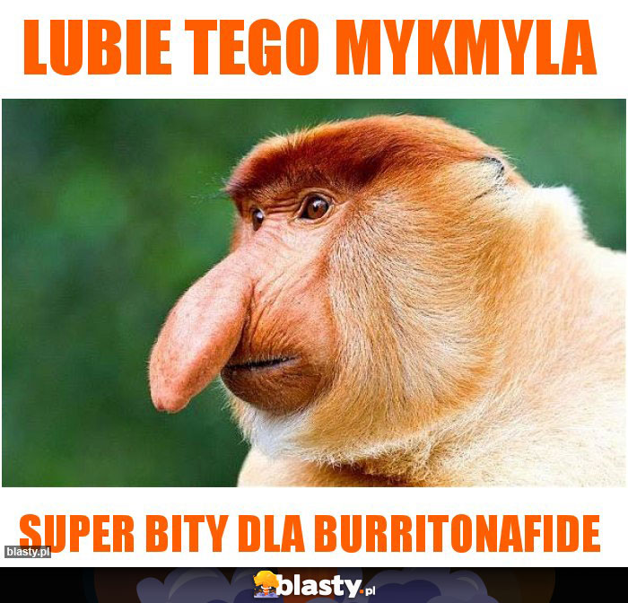 LUBIE TEGO MYKMYLA