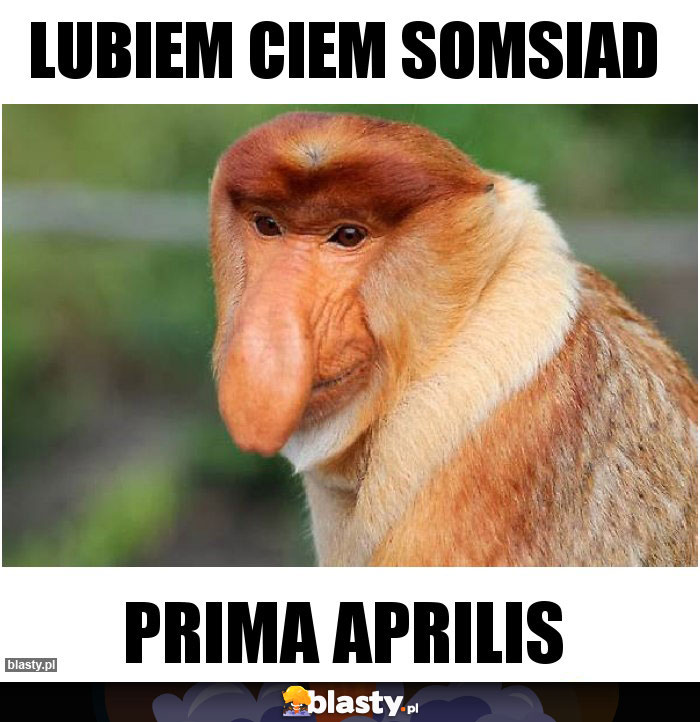 Lubiem Ciem somsiad