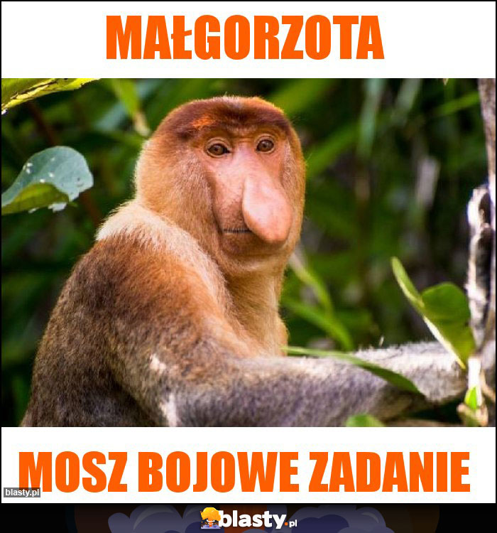 Małgorzota