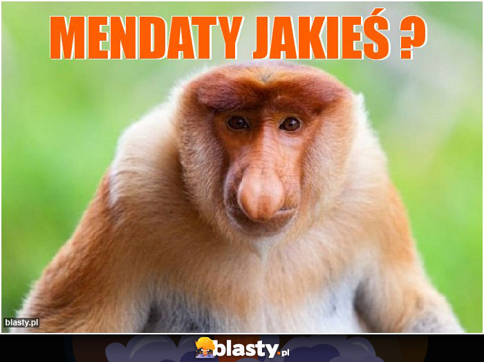 Mendaty jakieś ?