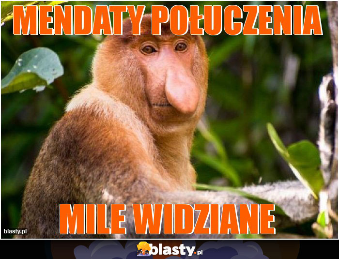 Mendaty połuczenia