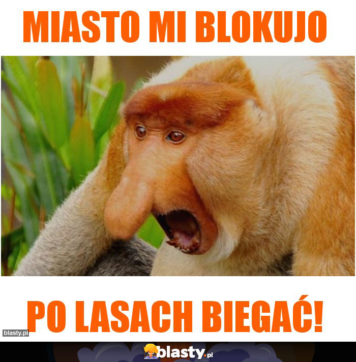 Miasto mi blokujo