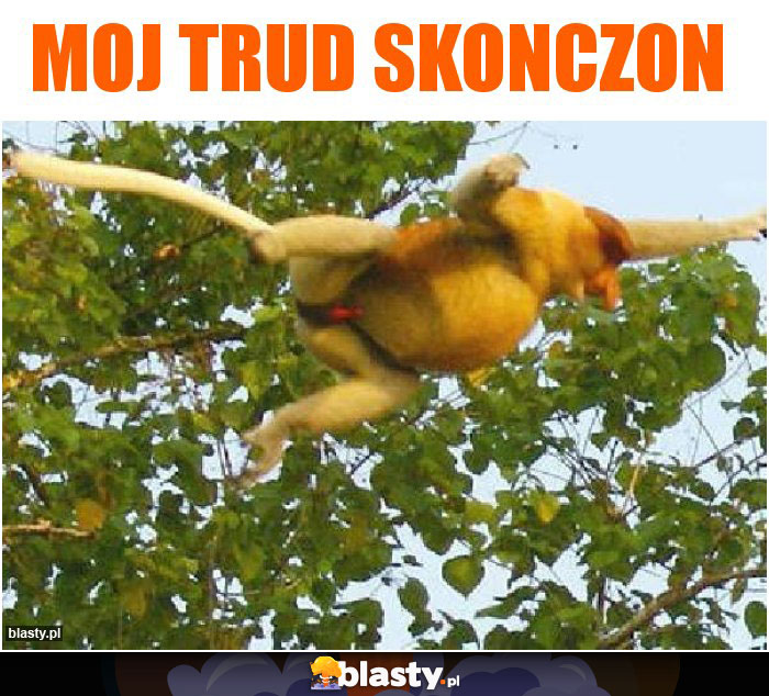 moj trud skonczon