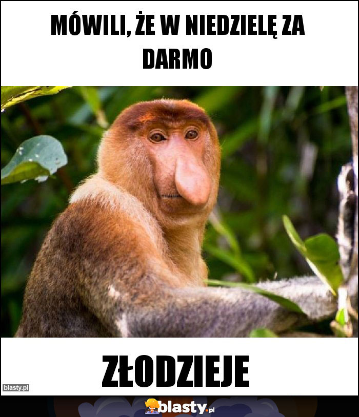 Mówili, że w niedzielę za darmo