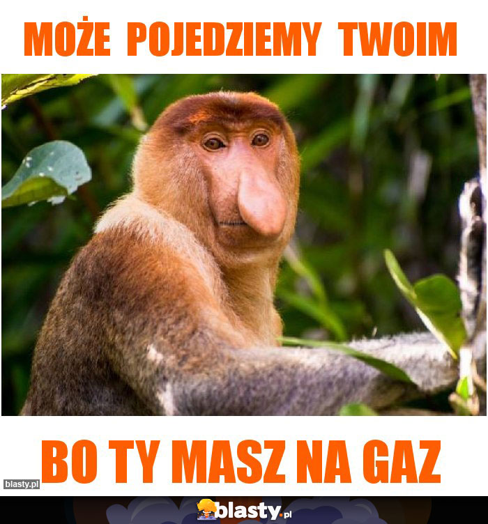 MOŻE  POJEDZIEMY  TWOIM