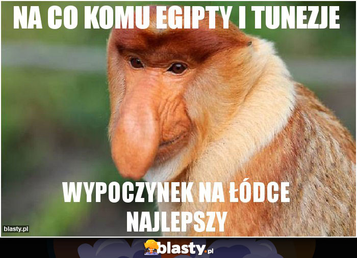 Na co komu Egipty i Tunezje