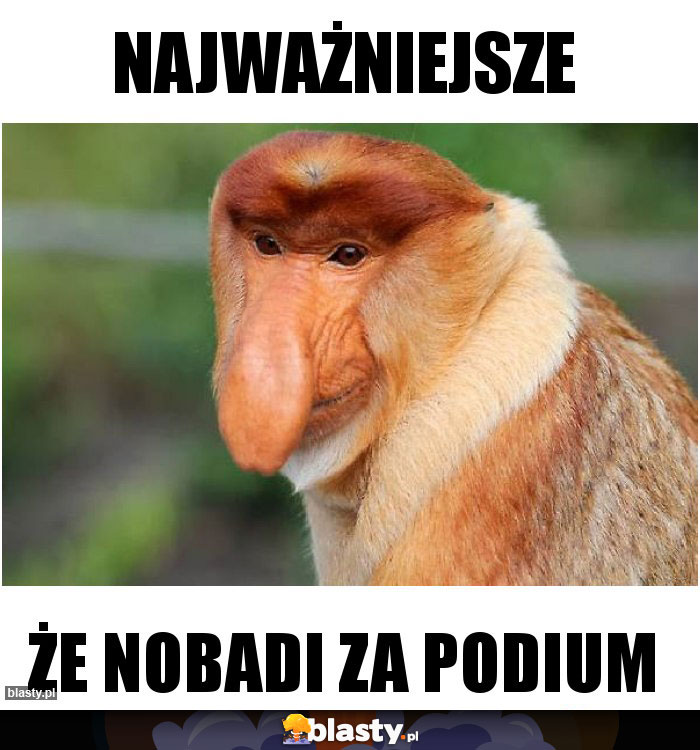 Najważniejsze