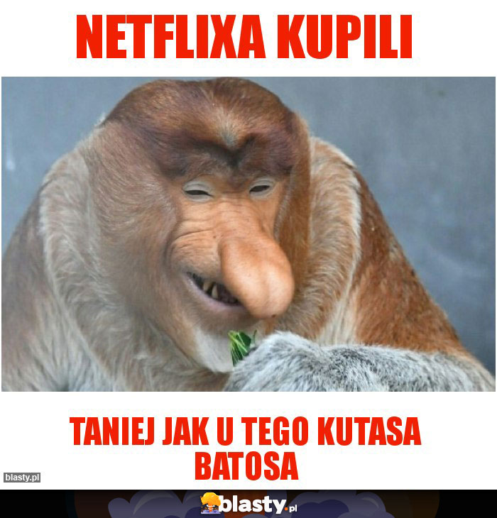 Netflixa kupili