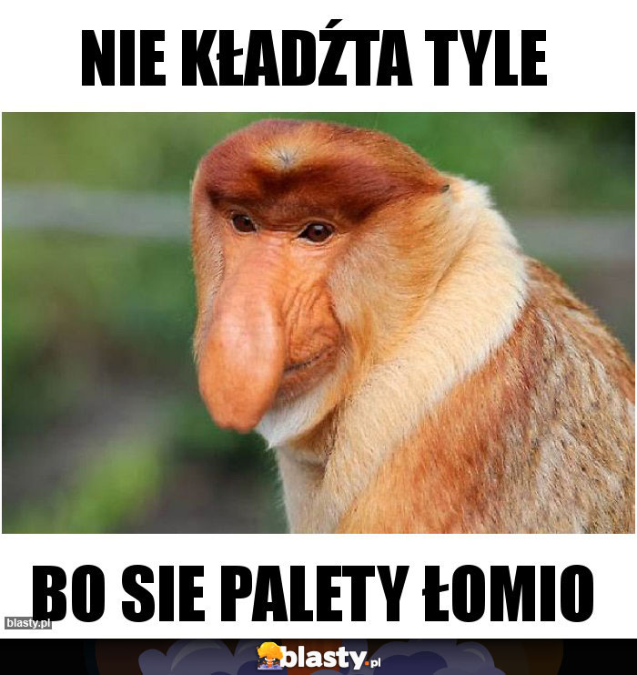 Nie kładźta tyle