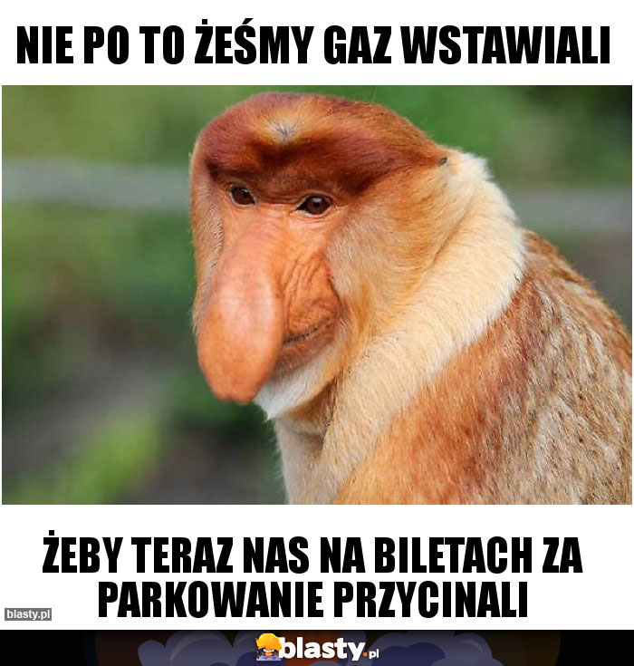 Nie po to żeśmy gaz wstawiali