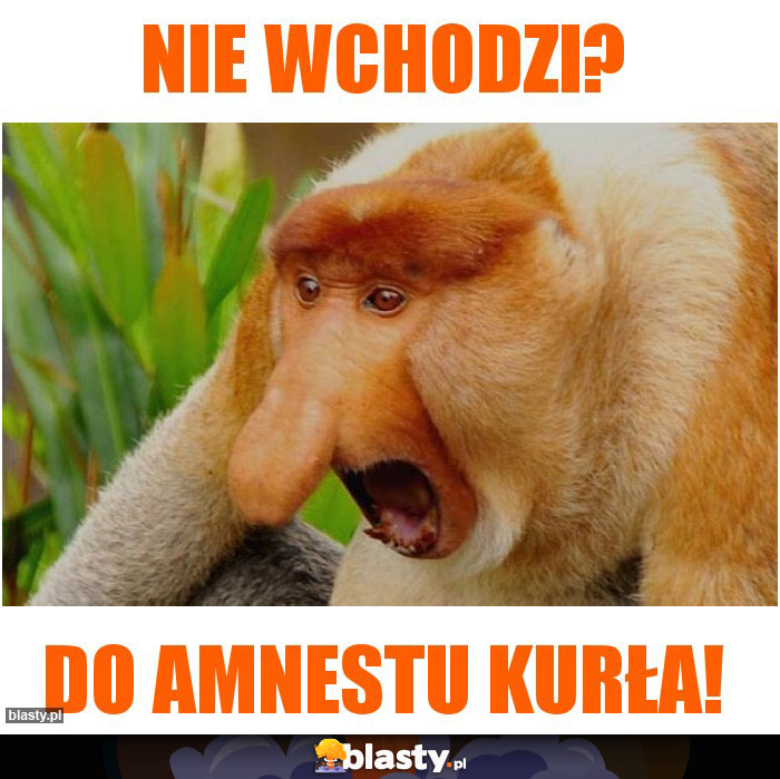 Nie wchodzi?