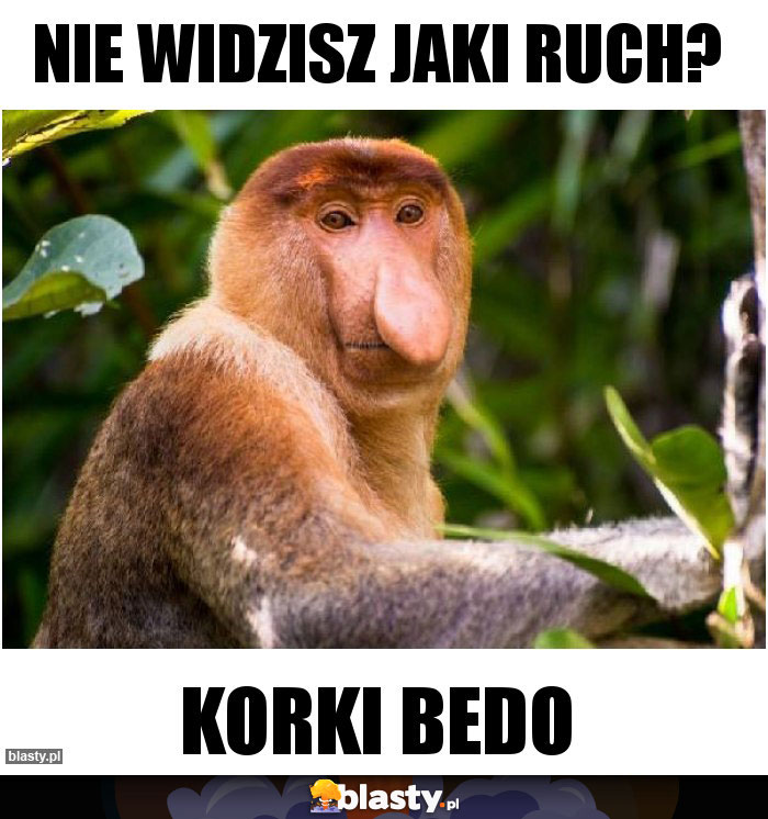 Nie widzisz jaki ruch?