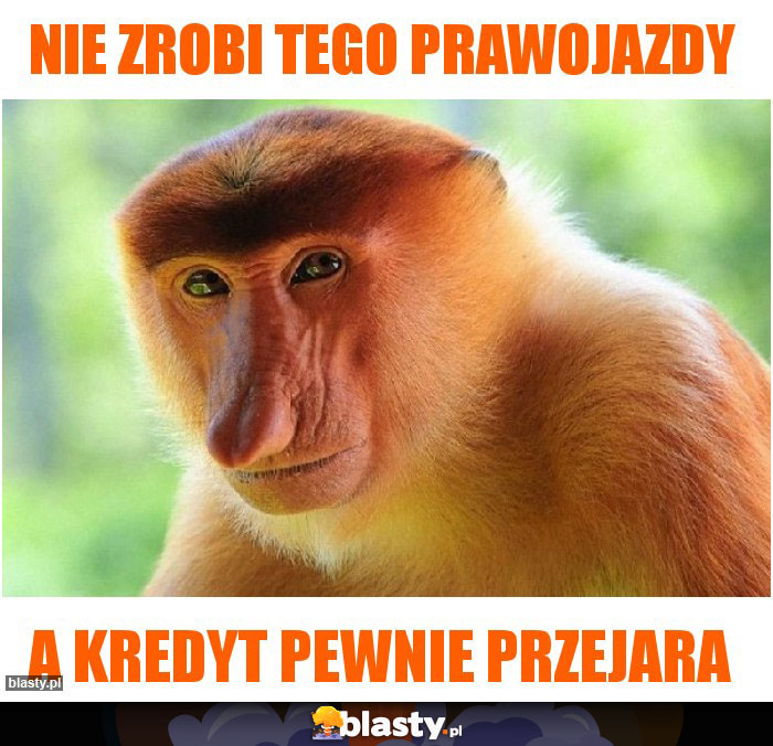 nie zrobi tego prawojazdy