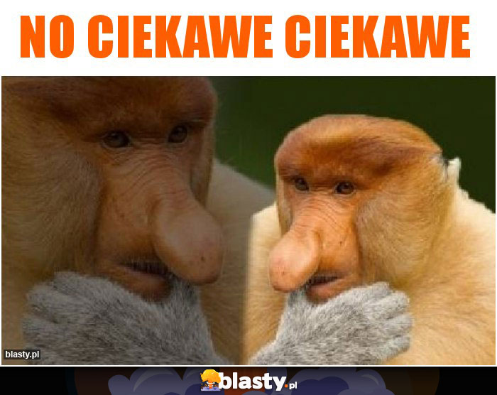 No ciekawe ciekawe