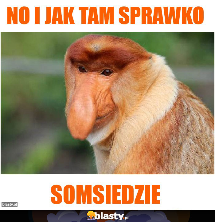 No i jak tam sprawko