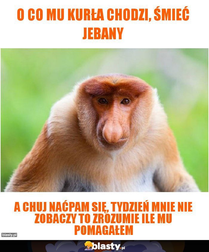 o co mu kurła chodzi, śmieć jebany