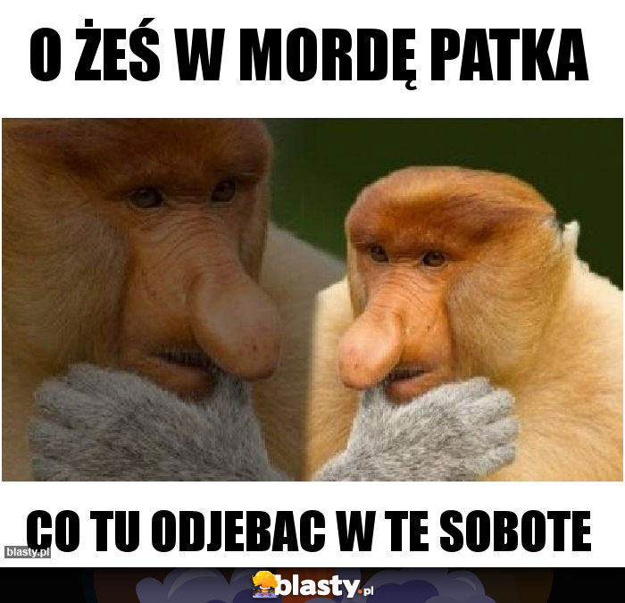 O żeś w mordę Patka