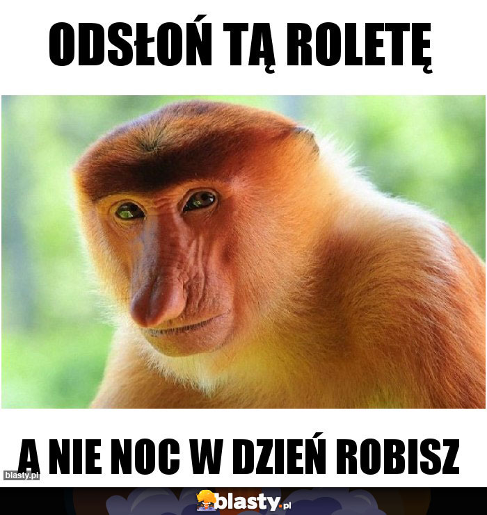 Odsłoń tą roletę