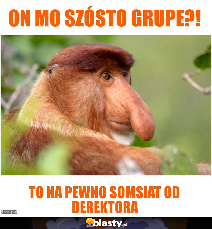 on mo szósto grupe?!