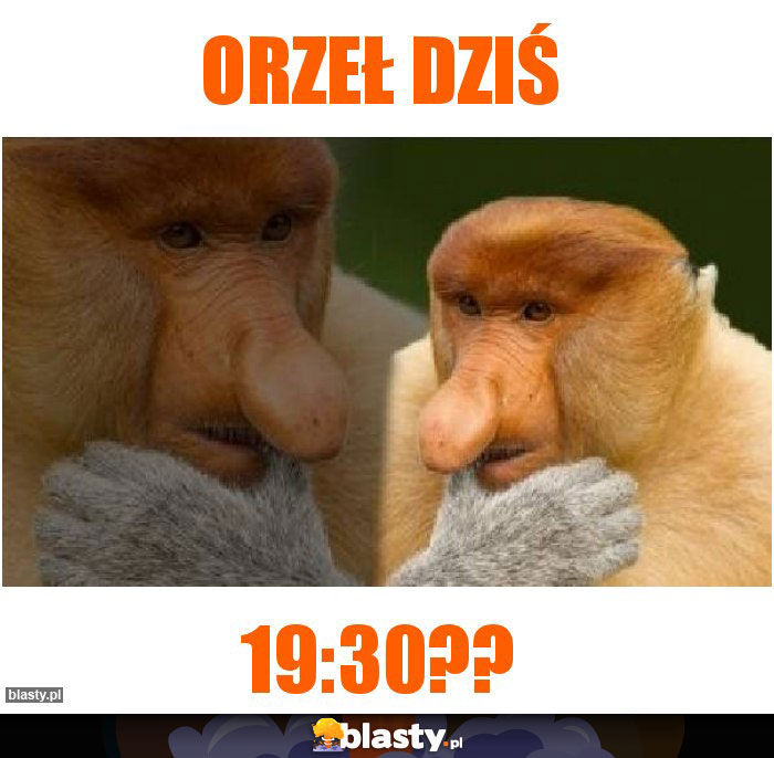 Orzeł dziś