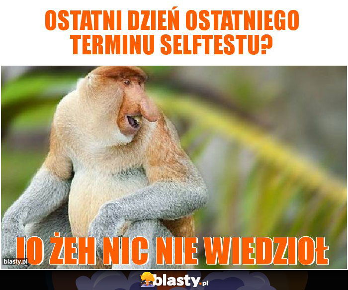 Ostatni dzień ostatniego terminu selftestu?