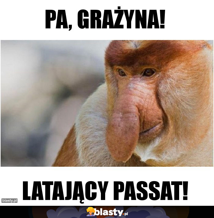 Pa, Grażyna!