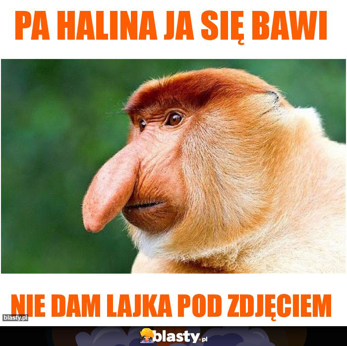 Pa Halina ja się bawi