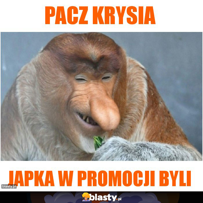 Pacz Krysia