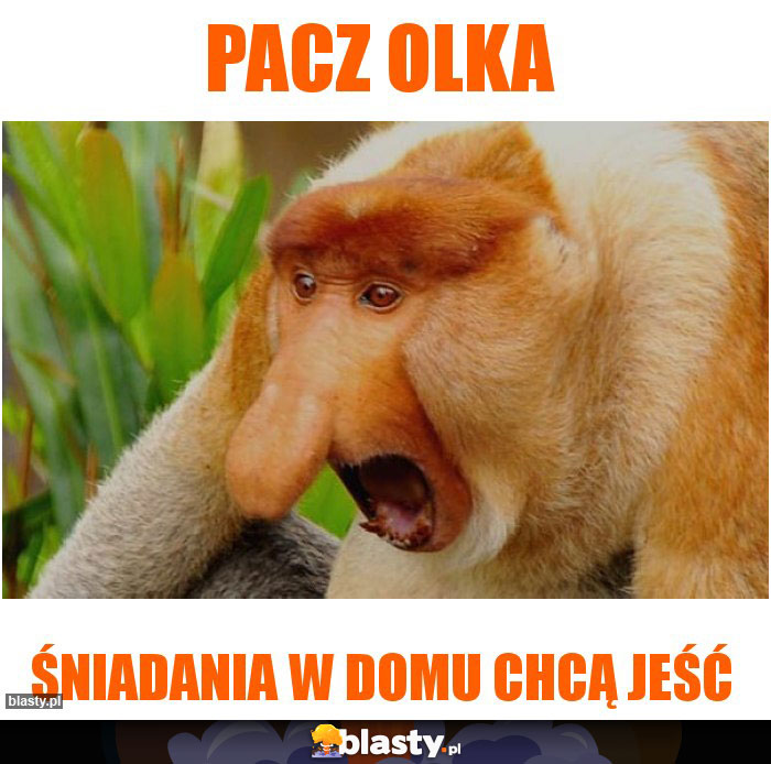 pacz olka