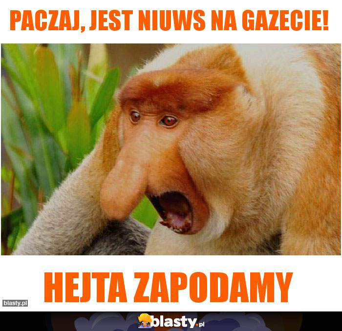 Paczaj, jest niuws na Gazecie!