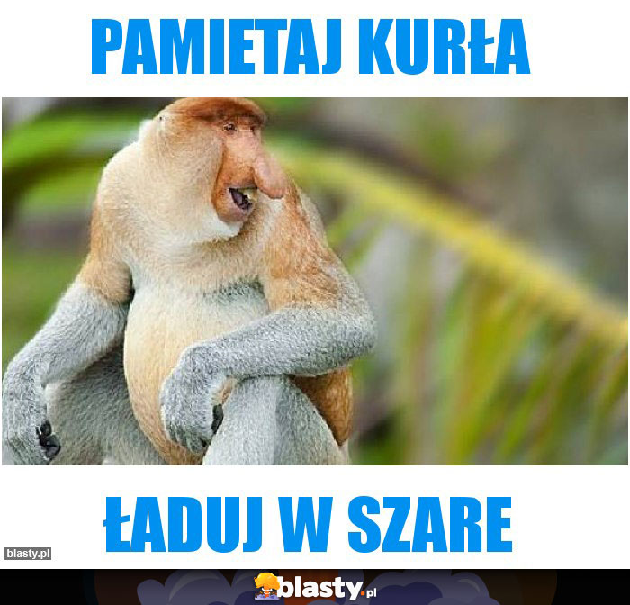 Pamietaj kurła