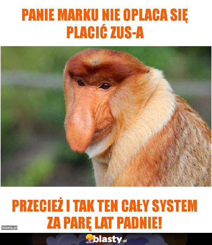 Panie Marku nie oplaca się placić ZUS-a