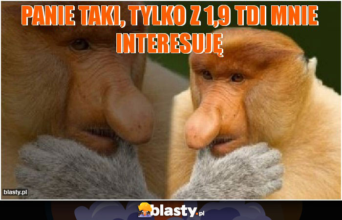 Panie taki, tylko z 1,9 TDI mnie interesuję