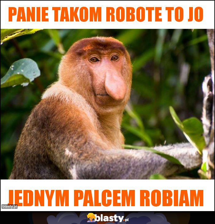 Panie takom robote to jo