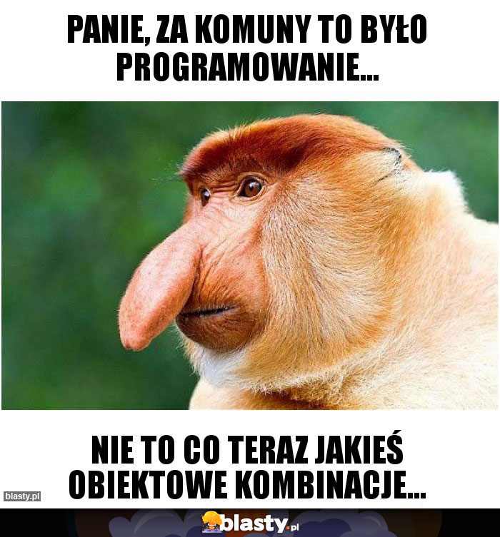 Panie, za komuny to było programowanie...