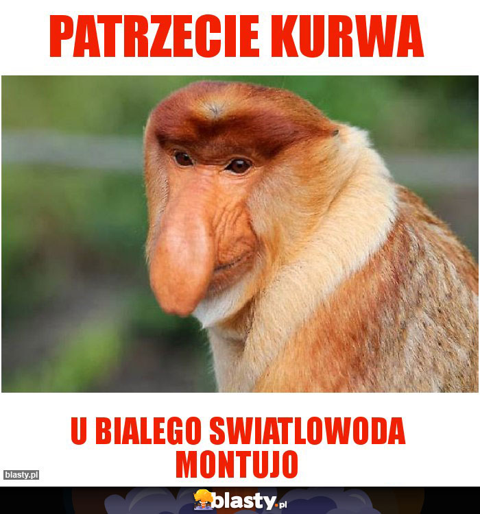 patrzecie kurwa