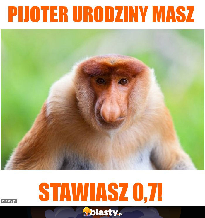 Pijoter urodziny masz