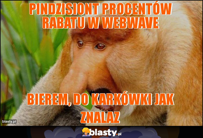 pindzisiont procentów rabatu w WebWave