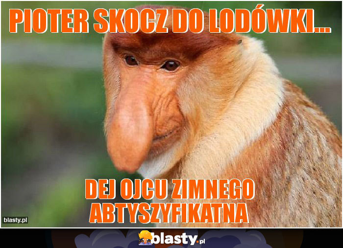 Pioter skocz do lodówki...