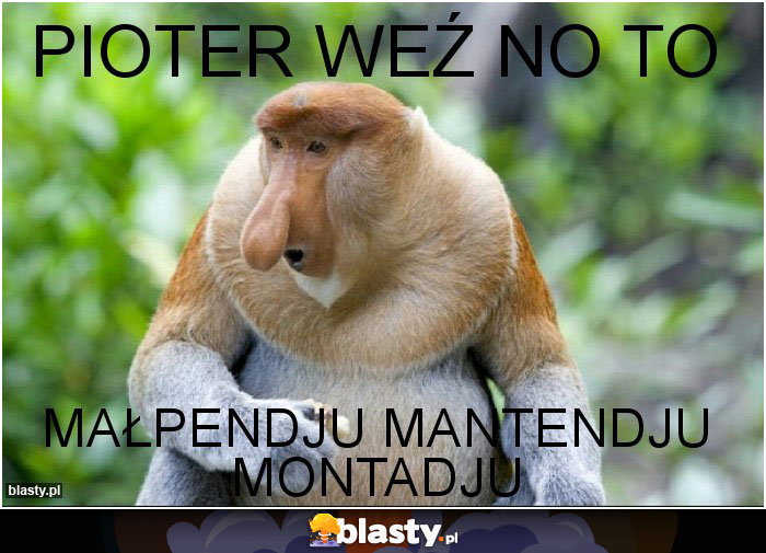 Pioter weź no to